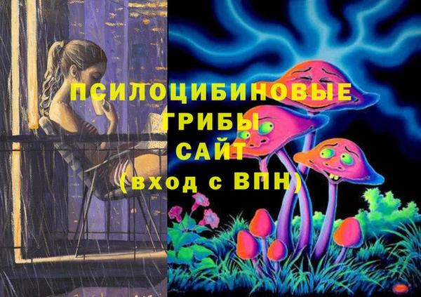 ECSTASY Алексин