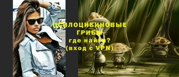 крисы Аркадак