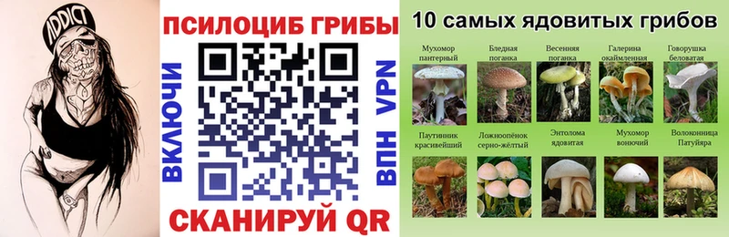 Галлюциногенные грибы Psilocybine cubensis  Пушкино 